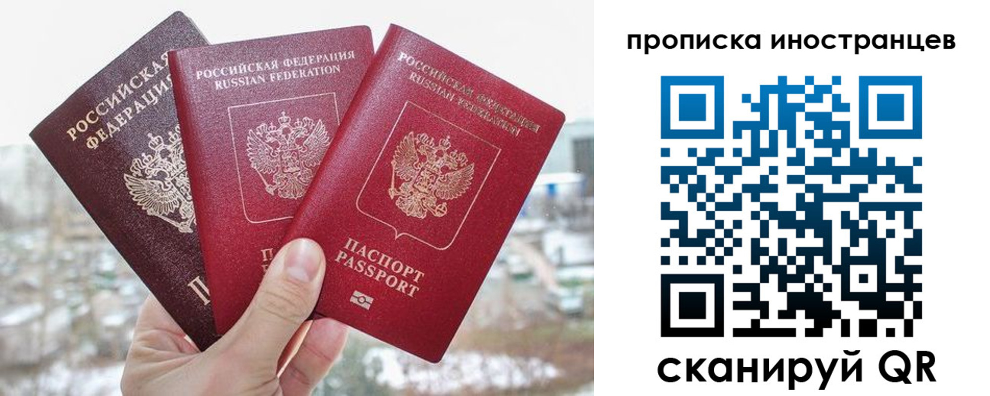 временная регистрация поиск в ЕАО